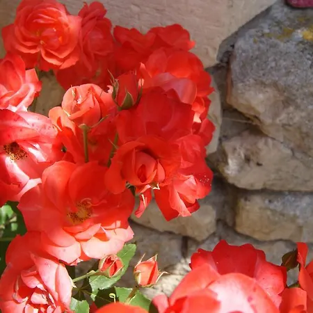 Manoir De La Pataudiere فندق مبيت وإفطار Villers-Canivet