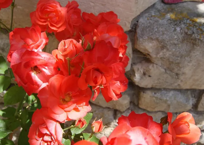 Manoir De La Pataudiere Bed & Breakfast Villers-Canivet