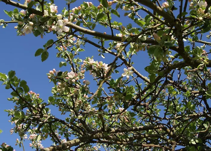 Bed & Breakfast Manoir De La Pataudiere 3*