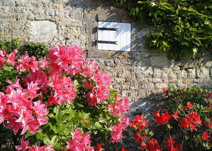 Bed & Breakfast Manoir De La Pataudiere